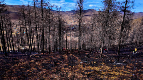 Нийт дуудлагын 14 нь ой, хээрийн түймэр байна